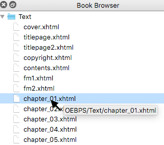 Tool tip showing full file path for file in Book Browser.